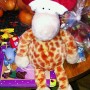 wpid-IMAG0287.jpg